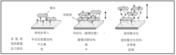 6226f392391ec.png 555.png