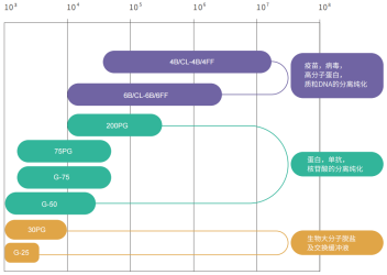 c8b0536d-ebc4-4415-9a5c-d5834d174098.png